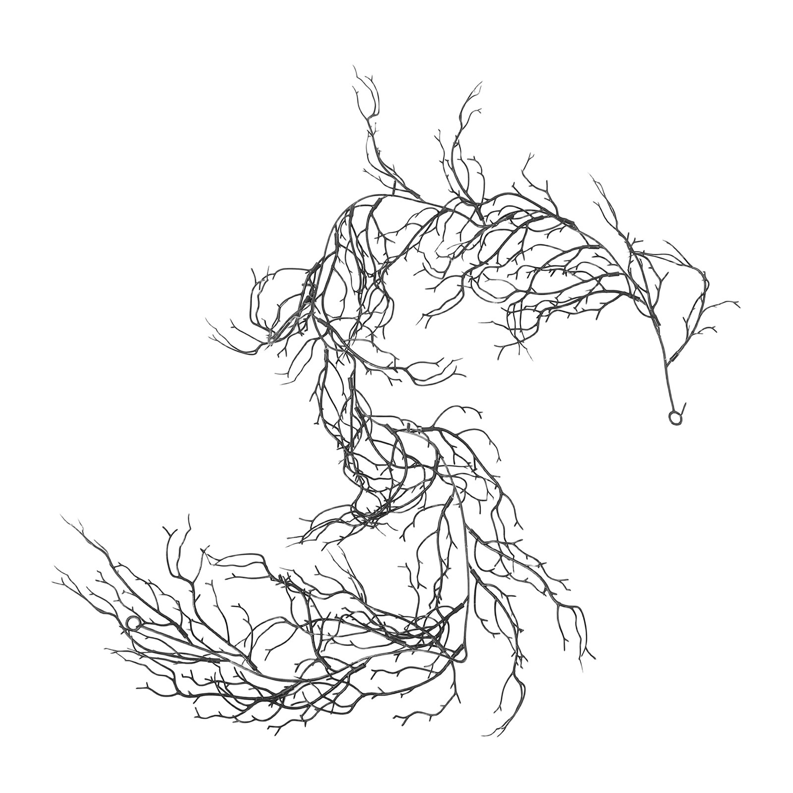 Flexible Black Curly Willow Br - Branch Curly Willow recension och pris