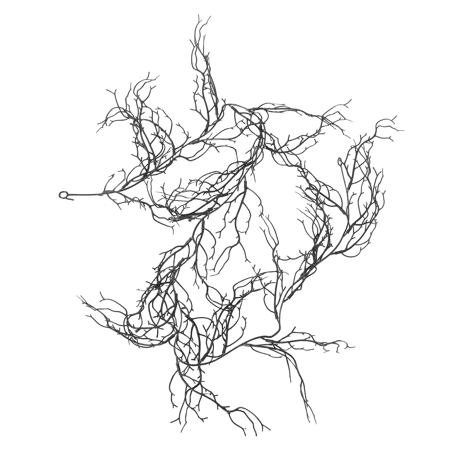 Flexible Black Curly Willow Br - Branch Curly Willow recension och pris