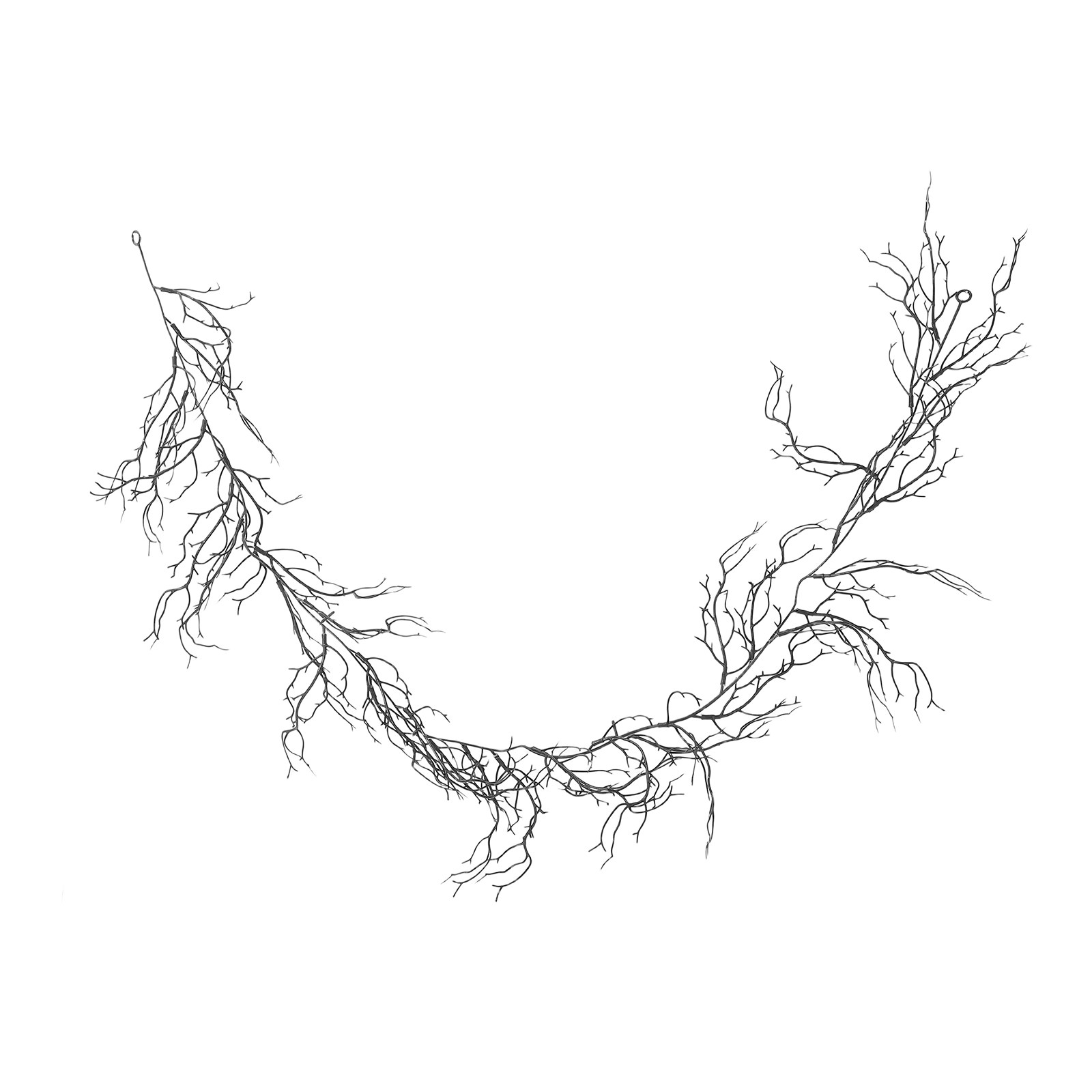 Flexible Black Curly Willow Br - Branch Curly Willow recension och pris