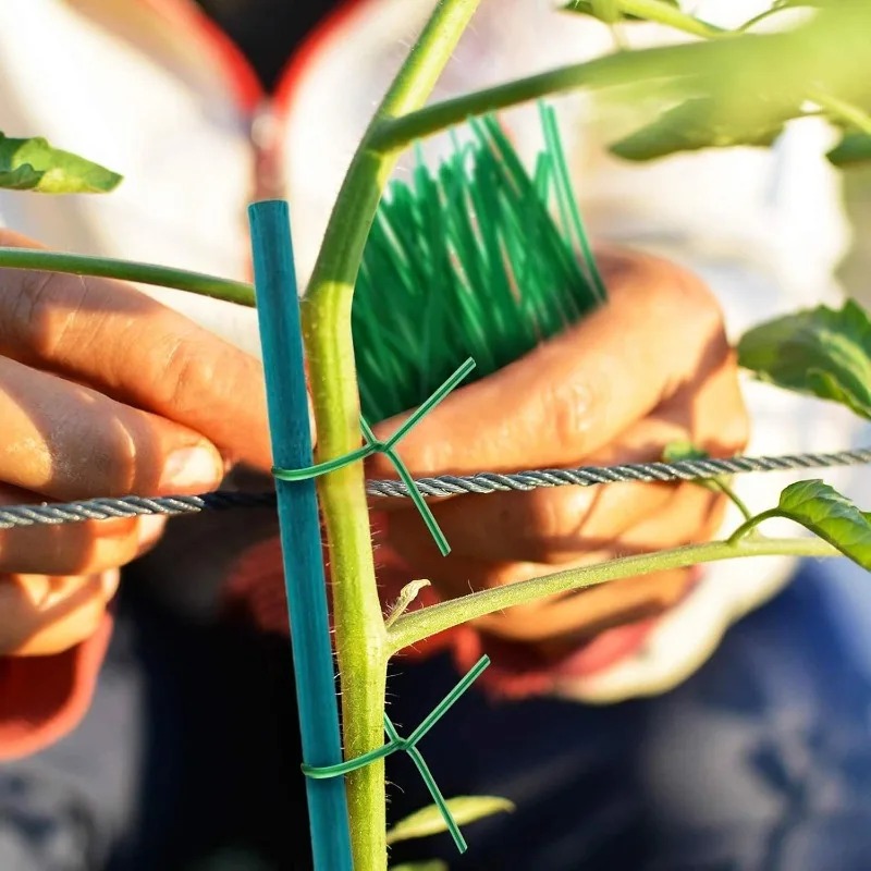 Plant Support Sticks Canes Bam - Florist Supp recension och pris