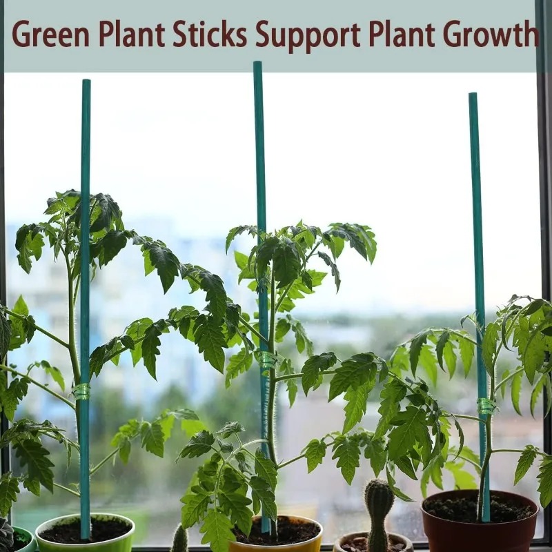 Plant Support Sticks Canes Bam - Florist Supp recension och pris
