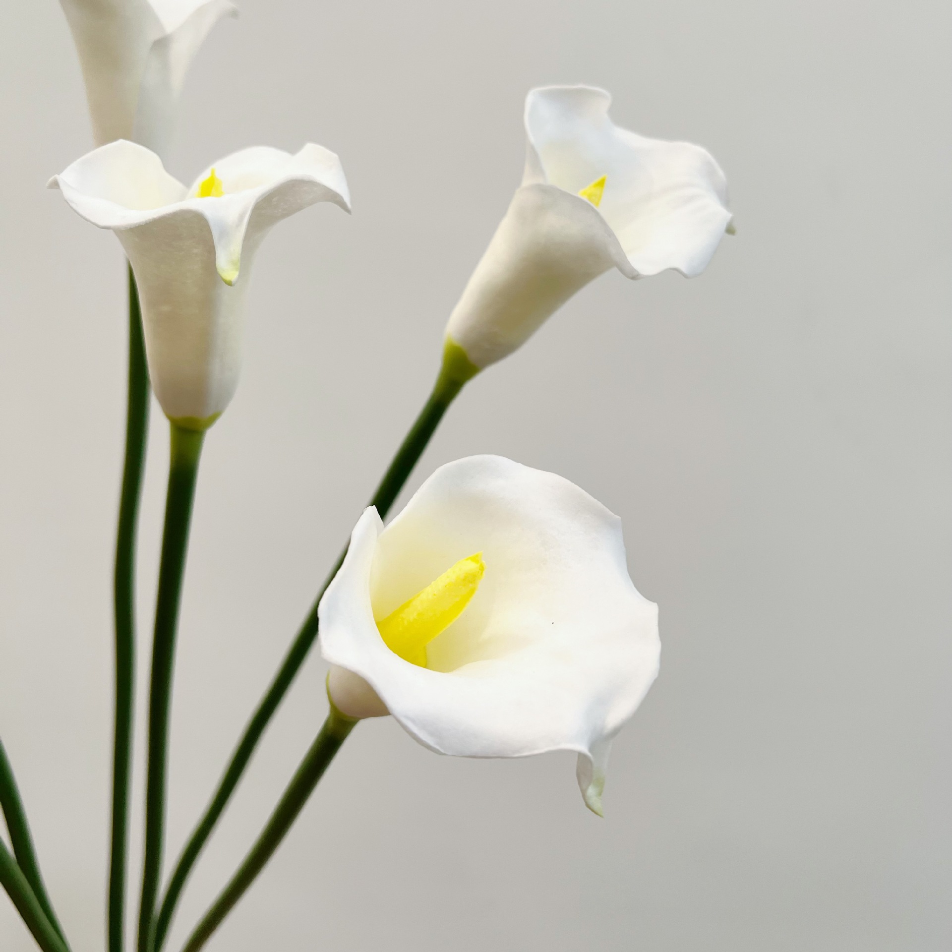 26 Inch Single Stem Crescent C - Florist Supp recension och pris
