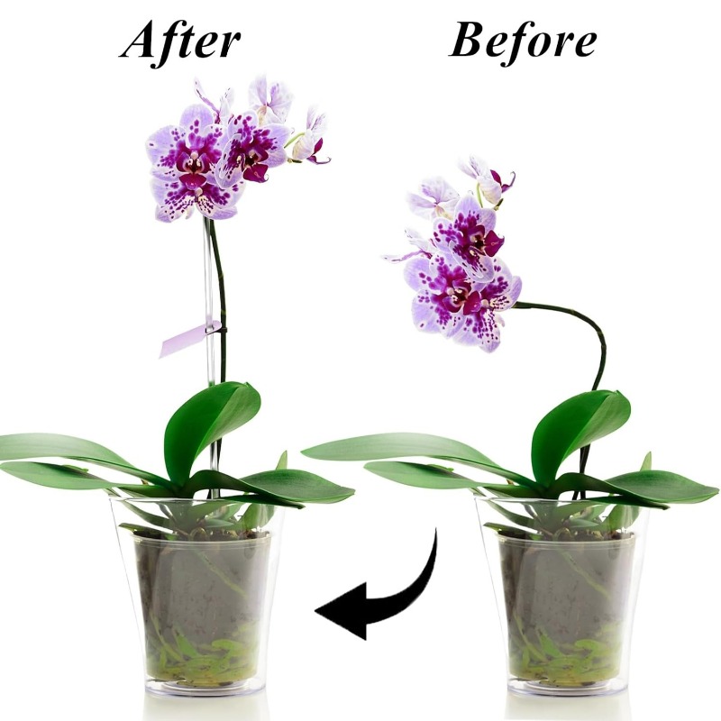 Reusable Clear Flower Support  - Florist Supp recension och pris