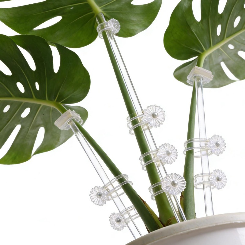 Reusable Clear Flower Support  - Florist Supp recension och pris