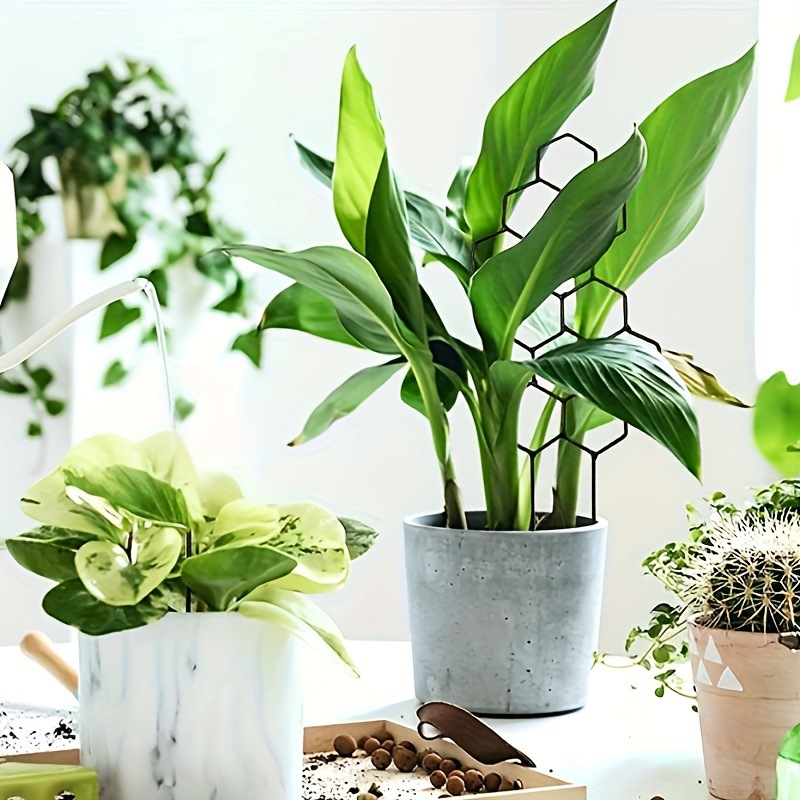1PC Honeycomb Design Plant Tre - Florist Supp recension och pris