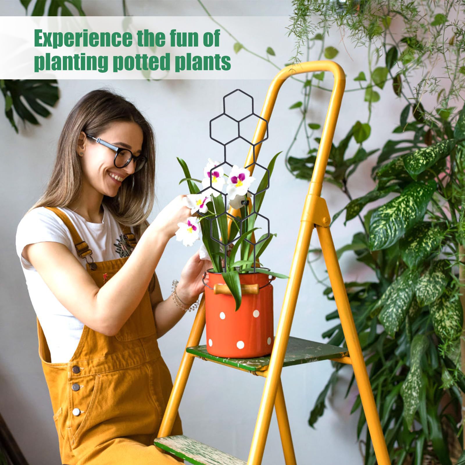 1PC Honeycomb Design Plant Tre - Florist Supp recension och pris